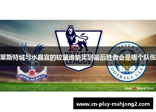 莱斯特城与水晶宫的较量谁能笑到最后胜者会是哪个队伍