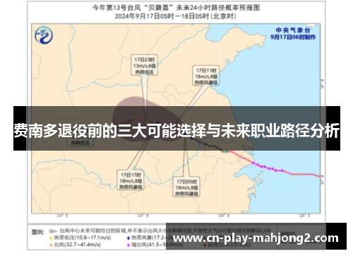 费南多退役前的三大可能选择与未来职业路径分析