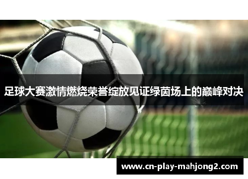 足球大赛激情燃烧荣誉绽放见证绿茵场上的巅峰对决